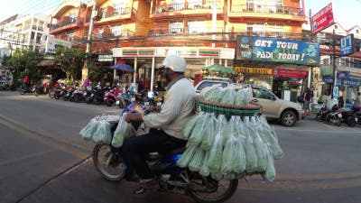 ben quincey add asian riding pov image