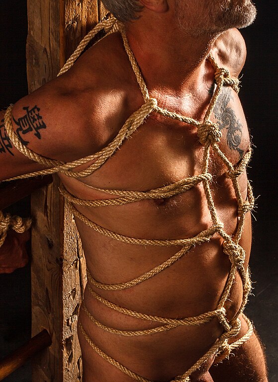 danny rana add man in bondage image