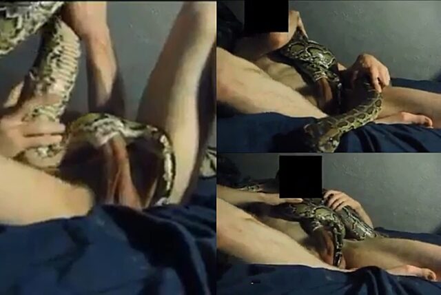 demaundray woolridge add man fucks snake photo