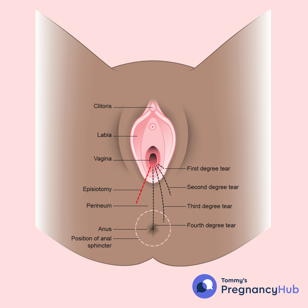 diane savoy add anal training pain photo