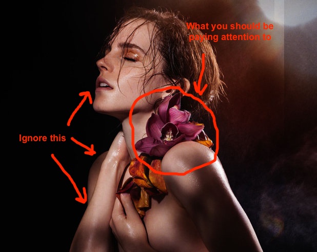 asmaa helmy add emma watson nude photoshoot photo