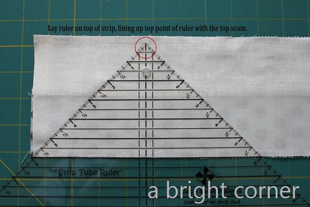 cathy cunning add ruler tube photo