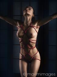 debbie lozano add nude shibari image