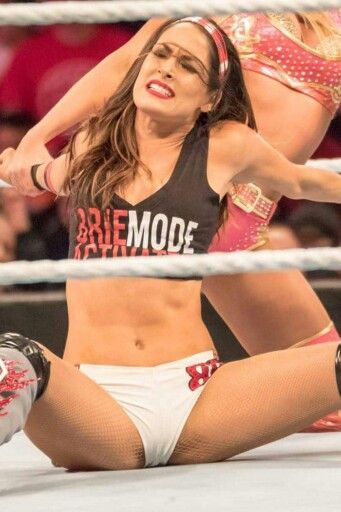 don bain add nikki bella cameltoe photo