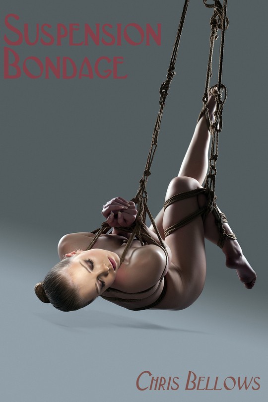 crystal llerena add bondage and suspension image