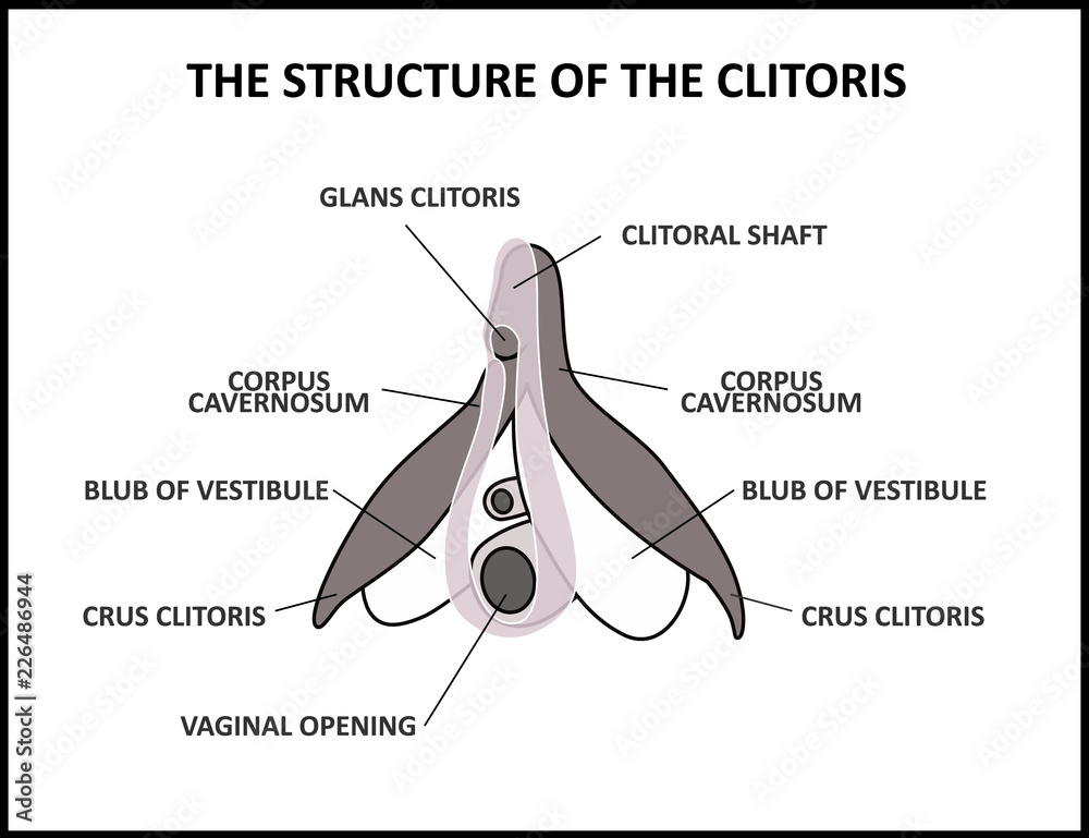 apostle watson add black clitors photo