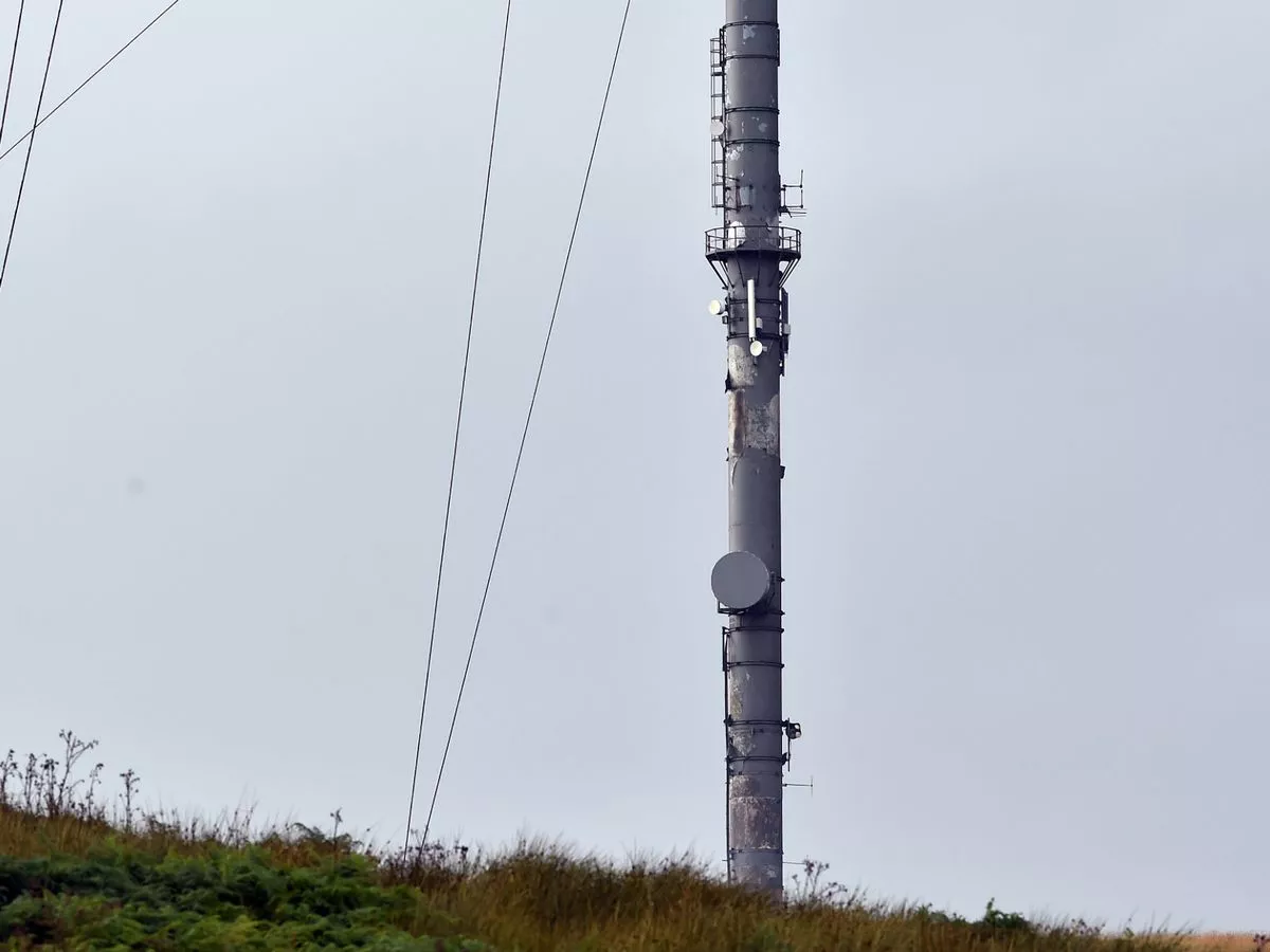 anthony poplawski add caught mast photo