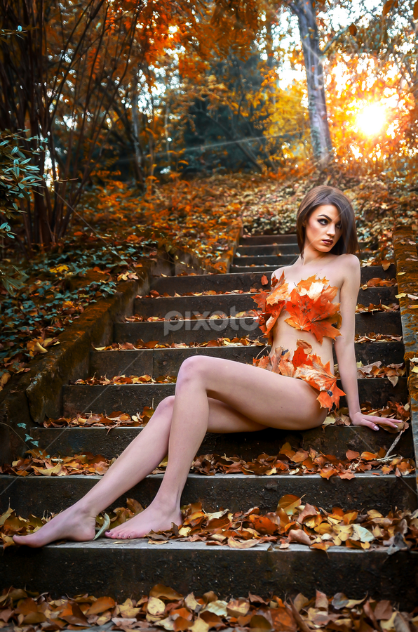 budd smith add colors of autumn nude photo