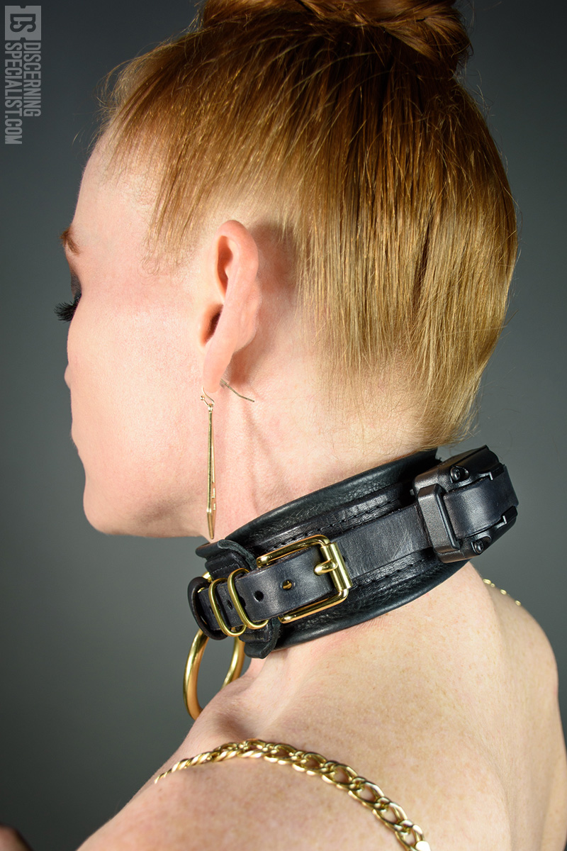 chris d turner add shock collar bdsm photo