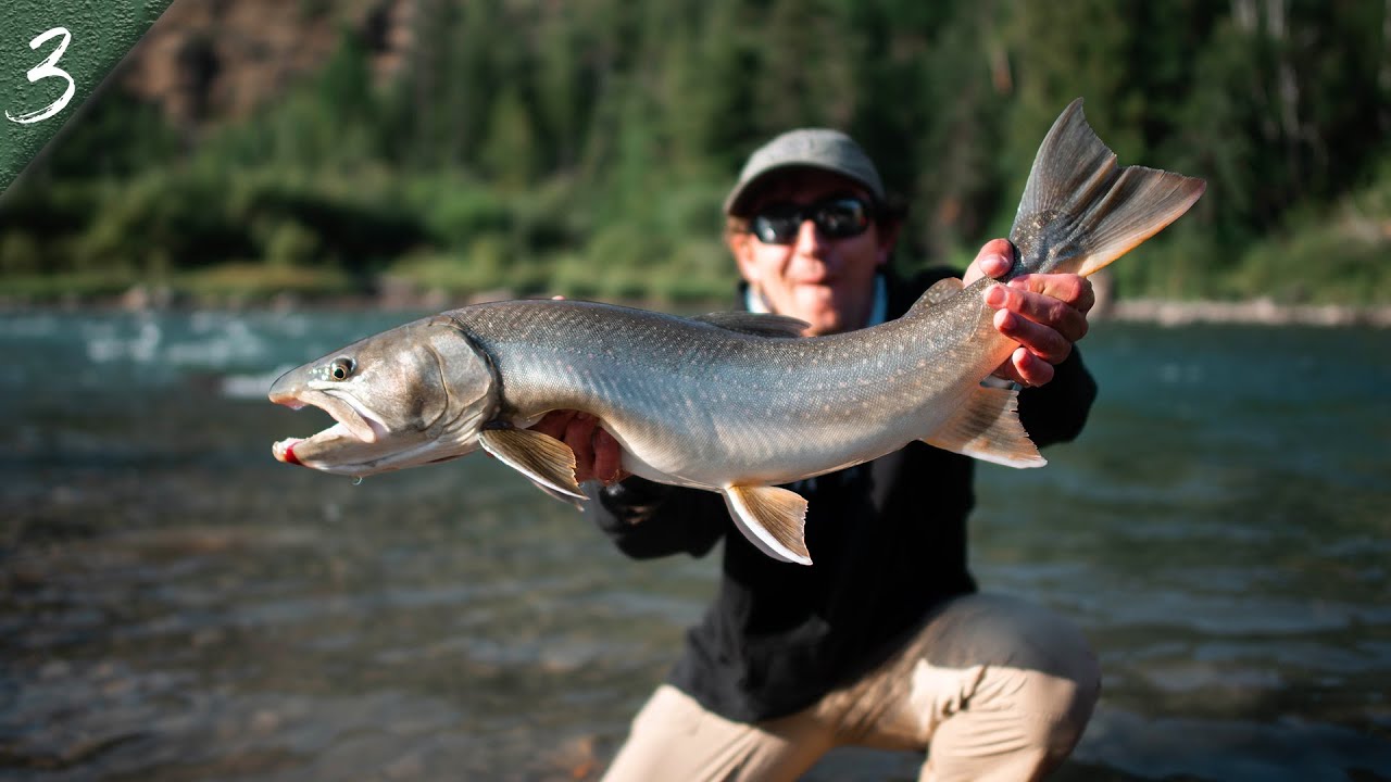 bob berg add dreamy bull fishing video photo