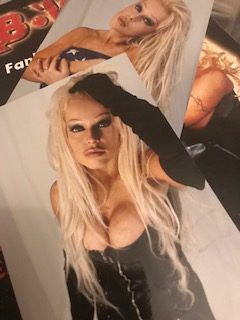 cassandra godin add pamela anderson lookalike photo